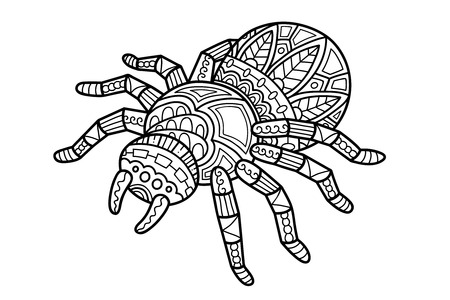 Cute spider. Vector illustration of cute ornate zentangle spider for children or for adult anti stress coloring bookのイラスト素材