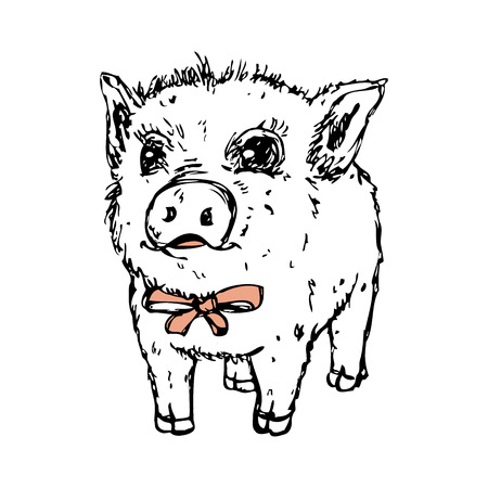 Vector sketch portrait of cute baby pigのイラスト素材