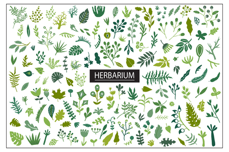 A Vector nautical seamless background pattern with hand drawn beautiful leaves.のイラスト素材