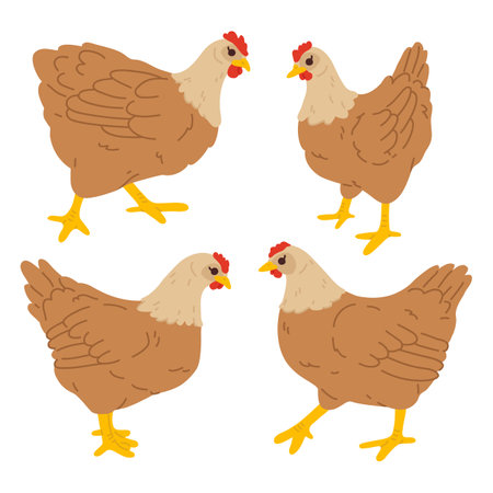 Vector illustration set of cute doodle hen for digital stamp,greeting card,sticker,icon,Easter designのイラスト素材