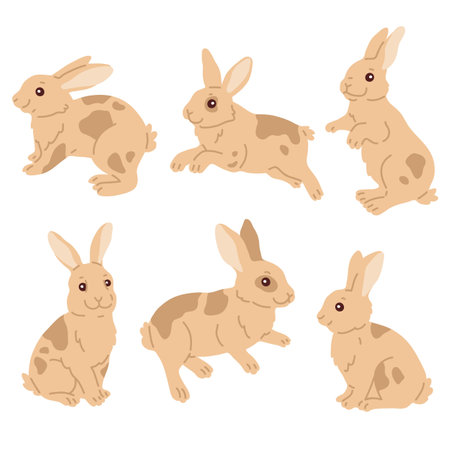 Vector illustration set of cute Easter bunnies for digital stamp,greeting card,sticker,icon,designのイラスト素材