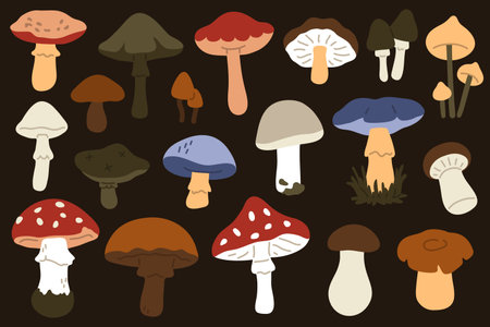 Mushroom collection. Vector illustration. Isolated on black background.のイラスト素材