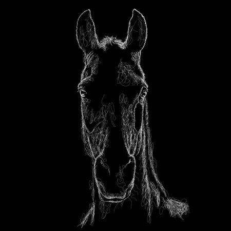 horse vector sketch illustration, scribble artのイラスト素材