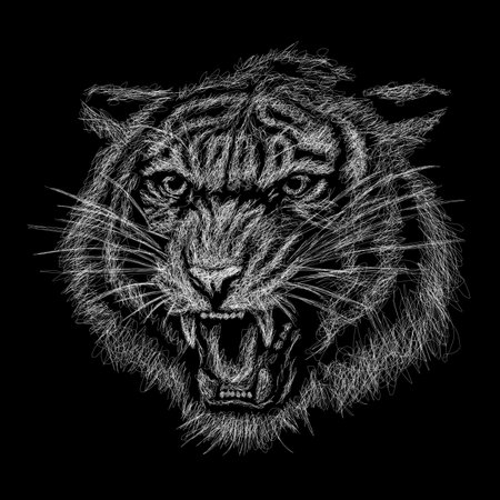tiger vector sketch illustration, scribble artのイラスト素材