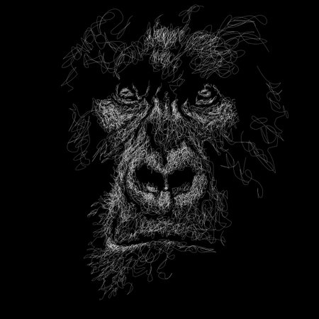 kingkong vector sketch illustration, scribble artのイラスト素材