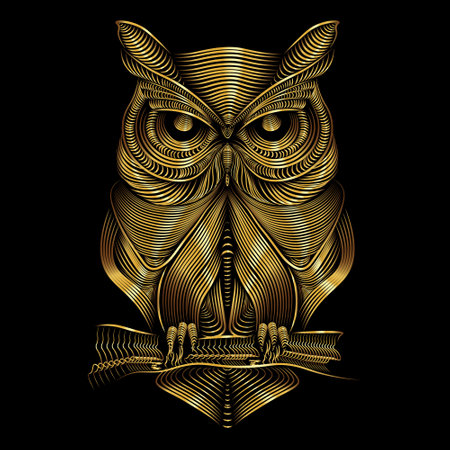owl line art  illustration on black backgroundのイラスト素材