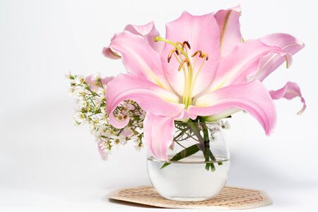 Beautiful pink lily in a glass vase on a  background whiteの写真素材