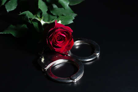 roses red and shackle on the dark backgroundの写真素材