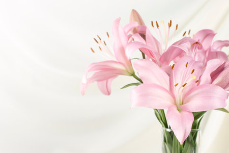 Beautiful pink lily  in glass vase on white fabricの写真素材