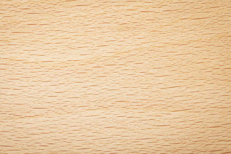 Beech wood texture for background. Natural plank macro shotの写真素材