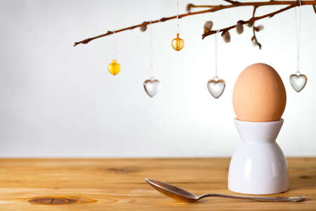 Easter composition with egg and catkins on wooden background. Egg painted a beige paintの写真素材