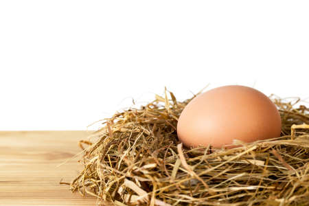 Egg in hay nest on wooden table against white background, isolatedの写真素材