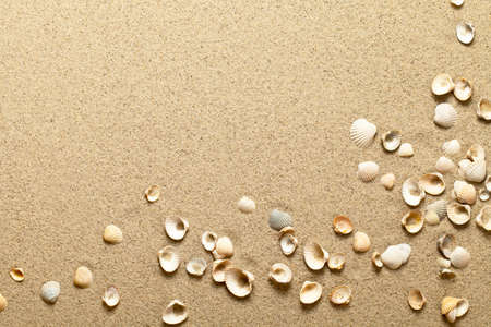 Sea shells on sand. Summer beach background. Top viewの写真素材