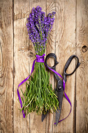 Bunch of lavender flowers with old scissors on wooden table. Top viewの写真素材