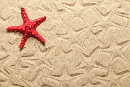 Starfish patterns with red starfish on sandy beach for backgroundの写真素材