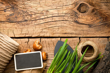 Gardening tools with twine and bulbs on wood background. Top viewの写真素材