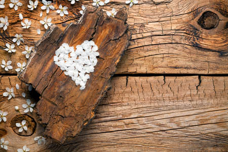 Spring blossom on wooden background with heart made of petals. Copy space. Top viewの写真素材