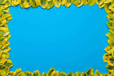 Leaves frame on blue background. Flat lay. Copy space. Top viewの写真素材
