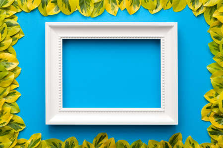 White frame with leaves on blue background. Flat lay. Copy space. Top viewの写真素材