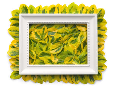 White frame with leaves isolated on white background. Flat lay. Copy space. Top viewの写真素材