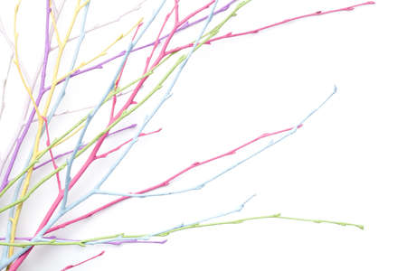 Spring, easter, pastel, colorful twigs isolated on white background. Copy space. Top viewの写真素材