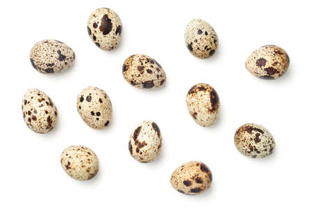 Quail eggs isolated on white background. Top viewの写真素材