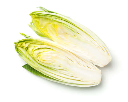 Chicory isolated on white background. Top viewの写真素材