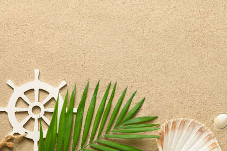 Summer background with green palm leaf, decorative ship steering wheel and shells. Beach texture. Copy space. Top viewの写真素材
