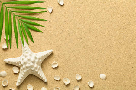 Summer background with green palm leaf, starfish and shells. Beach texture. Copy space. Top viewの写真素材