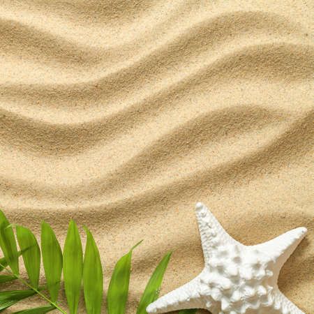 Summer background with green palm leaves and starfish. Beach texture. Copy space. Top view