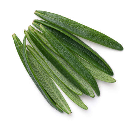 Rosemary leaves isolated on white background. Top viewの写真素材