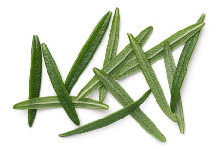 Rosemary leaves isolated on white background. Top viewの写真素材
