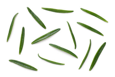 Rosemary leaves isolated on white background. Top viewの写真素材