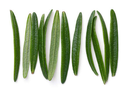 Rosemary leaves isolated on white background. Top viewの写真素材