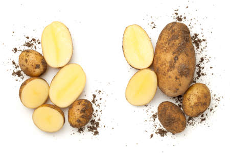 Fresh organic potatoes isolated on white background. Top view, flat layの写真素材