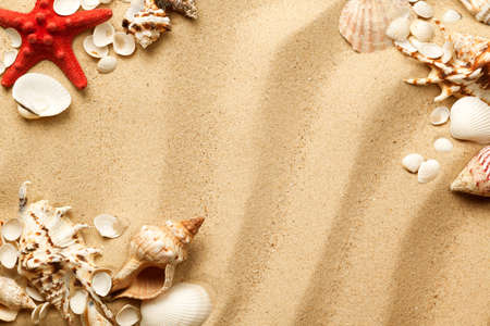 Seashells and starfish on sand background. Top view, flat lay