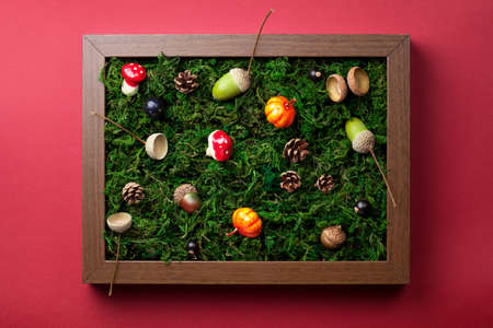 Autumn symbols on green moss background. Composition in wooden frame. Top viewの写真素材