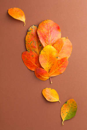 Fresh orange leaves formed in leaf shape on brown paper background. Vertical autumn composition. Top viewの写真素材