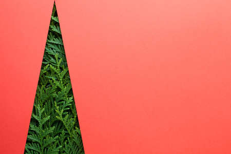 Minimal creative christmas tree made of thuja twigs. Copy space on red paper background. Top viewの写真素材