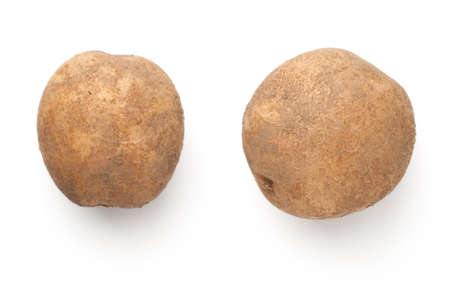 Two organic potatoes pulled from the ground isolated over white background. Top viewの写真素材