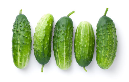 Cucumber isolated on white background. Group of fresh natural organic vegetables. View from aboveの写真素材