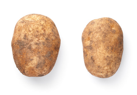 Organic potato isolated over white background. Fresh ripe vegetables taken from the ground. View from aboveの写真素材