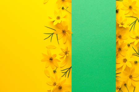 Yellow flowers layout with green banner on paper background. Threadleaf zagreb (coreopsis...