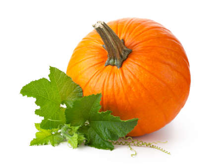 Pumpkin with fresh green leaves isolated over white backgroundの写真素材