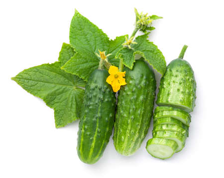 Fresh ground cucumbers with leaves and flowers isolated over white background. Top viewの写真素材
