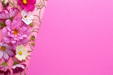 Flowers composition on pink paper background. Copy space. Flat lay, top viewの写真素材