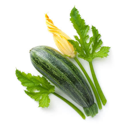 Fresh zucchini with flower and leaves isolated on white background. Top viewの写真素材