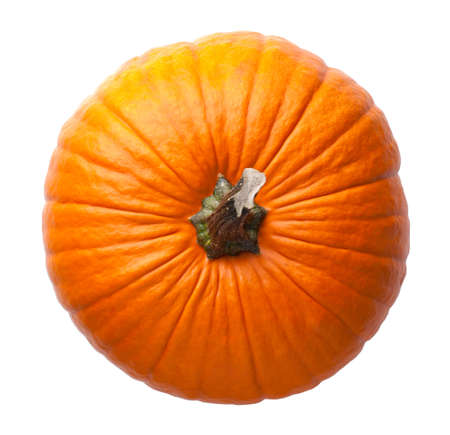 Pumpkin isolated on white background. View from aboveの写真素材