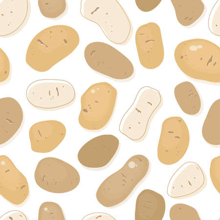 Raw whole potatoes vector seamless pattern. Organic hand drawn vegetable background.のイラスト素材