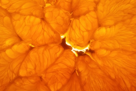 Flesh of orange slice with flower-core, backlighted